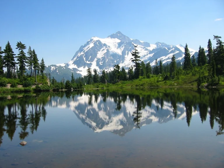 Mountain lake vista with forested shoreline